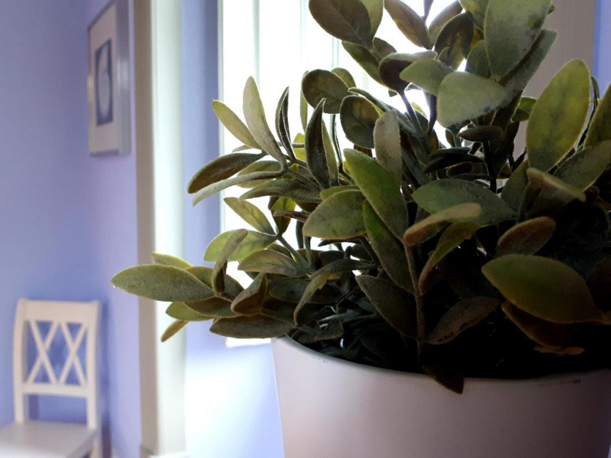 Casa Joya Bed and Breakfast Góis Εξωτερικό φωτογραφία